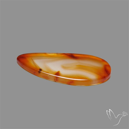 Gemmy Montana Agate Flat Slice Cabochon