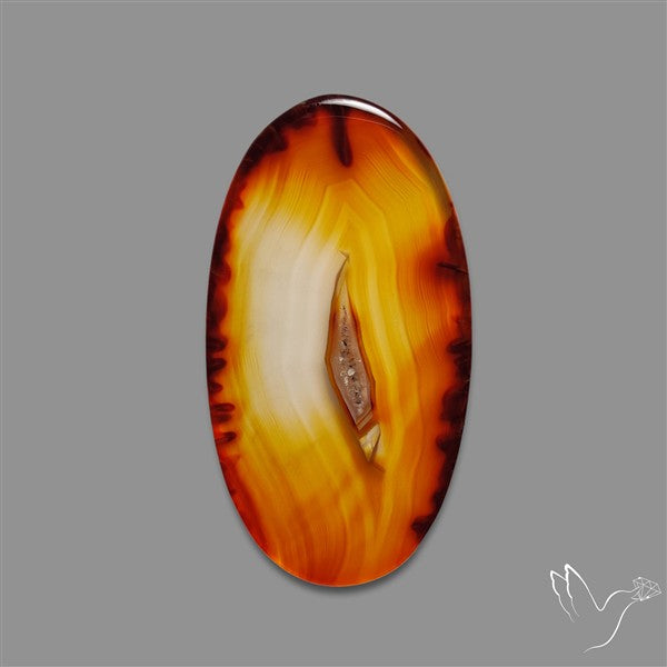 Gemmy Montana Agate Flat Slice Cabochon