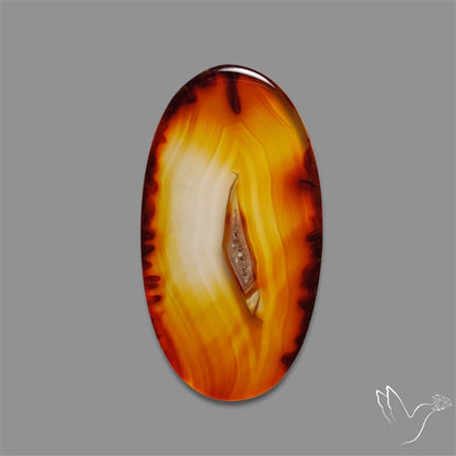 Gemmy Montana Agate Flat Slice Cabochon