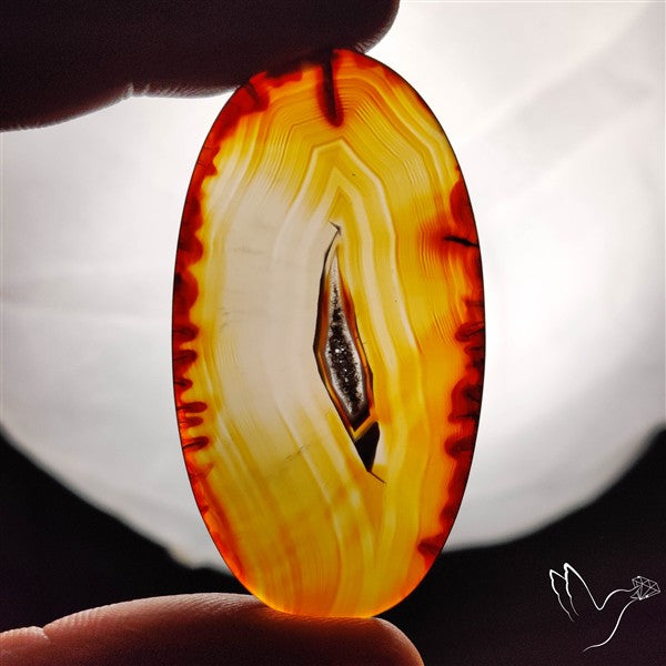 Gemmy Montana Agate Flat Slice Cabochon