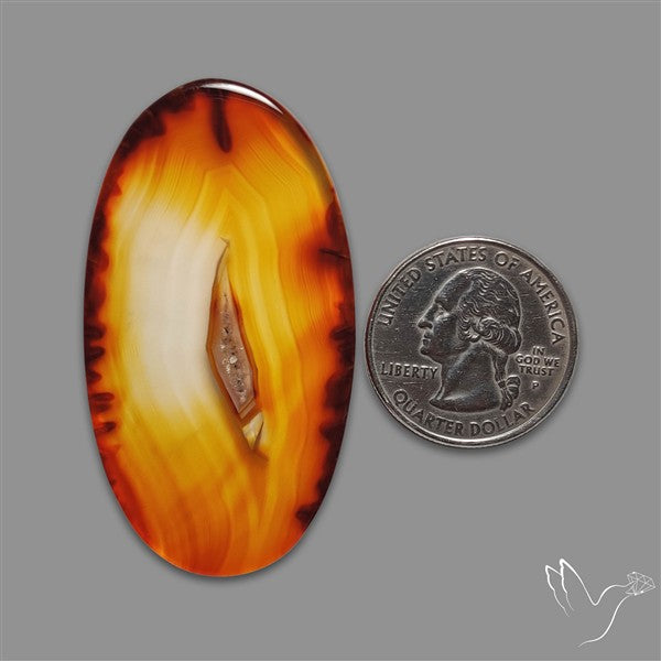 Gemmy Montana Agate Flat Slice Cabochon