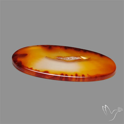 Gemmy Montana Agate Flat Slice Cabochon