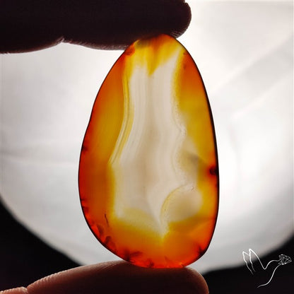Gemmy Montana Agate Flat Slice Cabochon