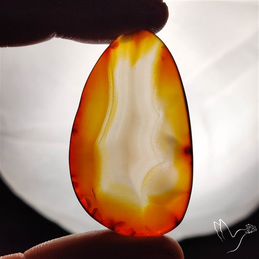 Gemmy Montana Agate Flat Slice Cabochon