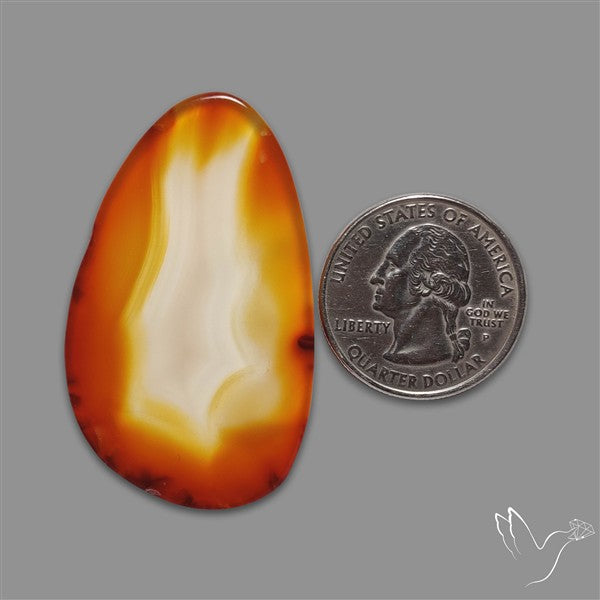 Gemmy Montana Agate Flat Slice Cabochon