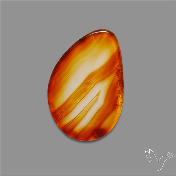 Gemmy Montana Agate Flat Slice Cabochon