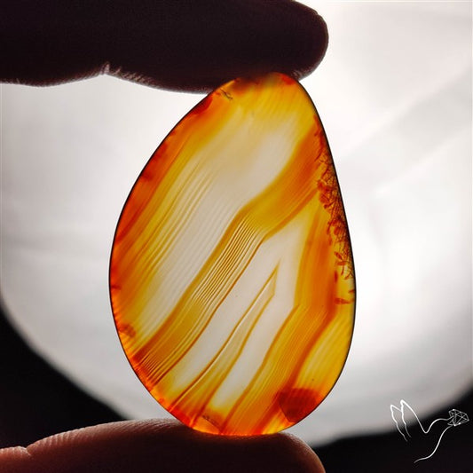 Gemmy Montana Agate Flat Slice Cabochon
