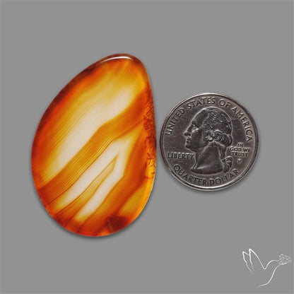 Gemmy Montana Agate Flat Slice Cabochon