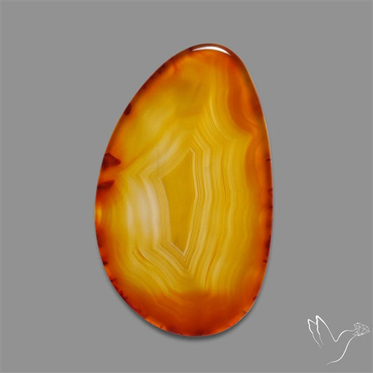 Gemmy Montana Agate Flat Slice Cabochon