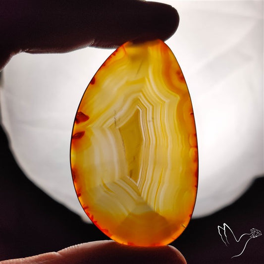 Gemmy Montana Agate Flat Slice Cabochon