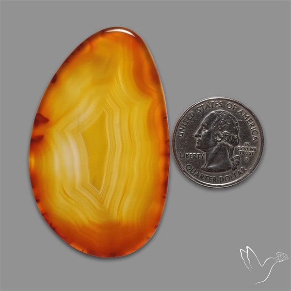 Gemmy Montana Agate Flat Slice Cabochon