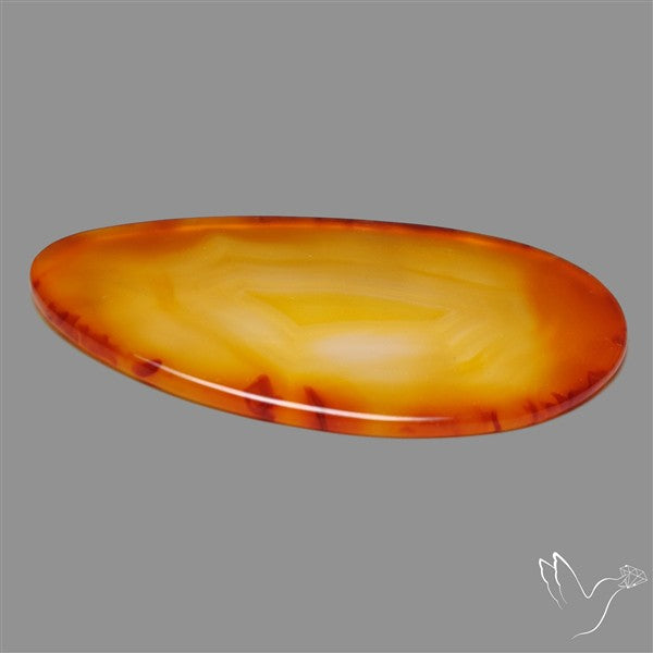 Gemmy Montana Agate Flat Slice Cabochon
