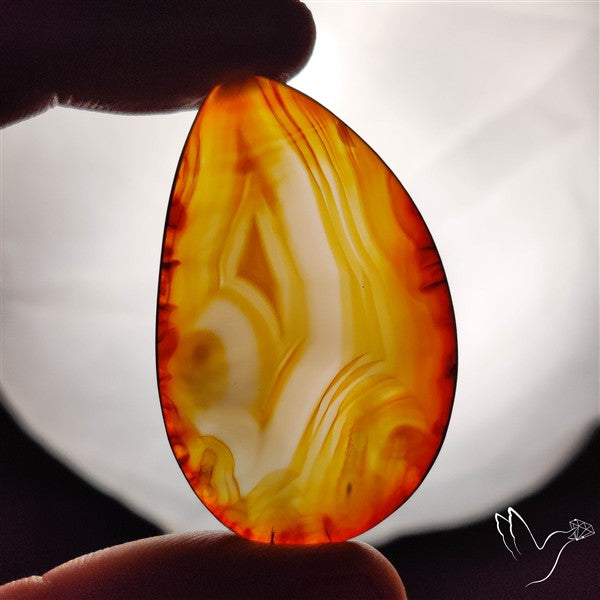 Gemmy Montana Agate Flat Slice Cabochon