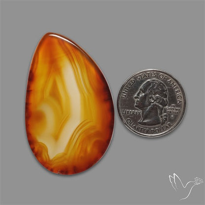 Gemmy Montana Agate Flat Slice Cabochon