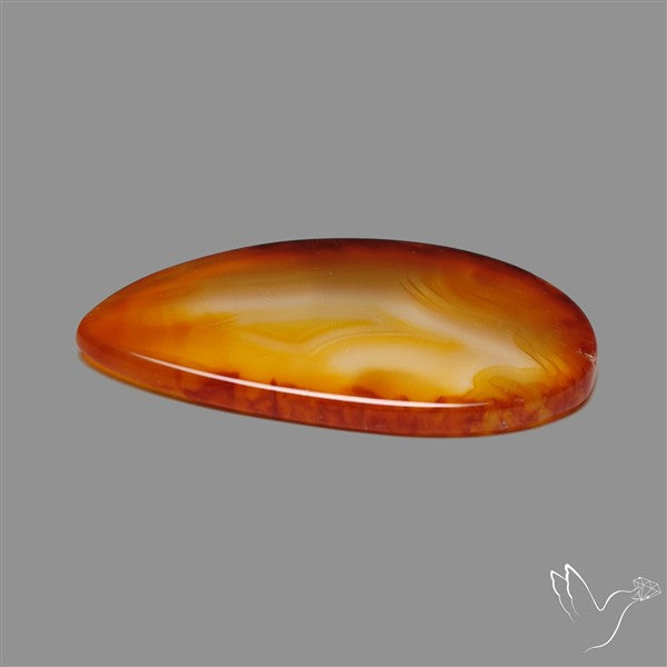Gemmy Montana Agate Flat Slice Cabochon