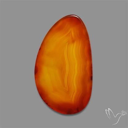 Gemmy Montana Agate Flat Slice Cabochon