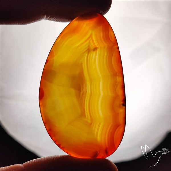 Gemmy Montana Agate Flat Slice Cabochon