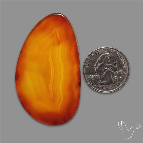 Gemmy Montana Agate Flat Slice Cabochon