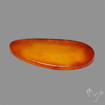 Gemmy Montana Agate Flat Slice Cabochon