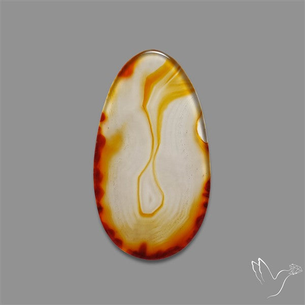 Gemmy Montana Agate Flat Slice Cabochon