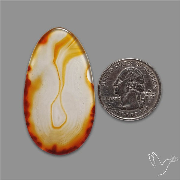 Gemmy Montana Agate Flat Slice Cabochon