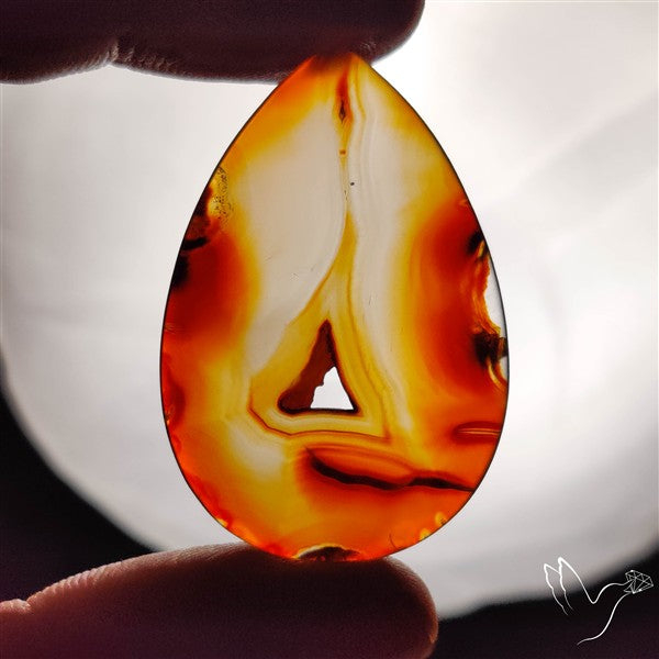 Gemmy Montana Agate Flat Slice Cabochon