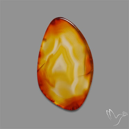 Gemmy Montana Agate Flat Slice Cabochon