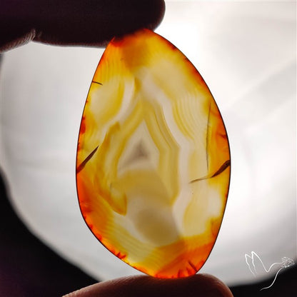 Gemmy Montana Agate Flat Slice Cabochon