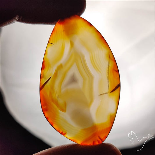 Gemmy Montana Agate Flat Slice Cabochon