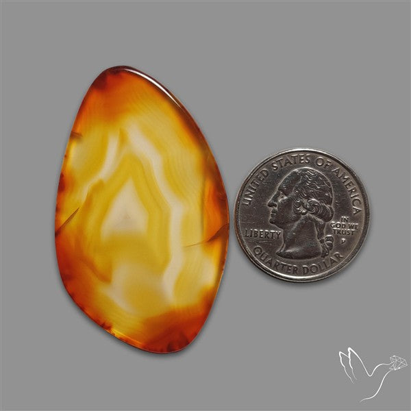 Gemmy Montana Agate Flat Slice Cabochon