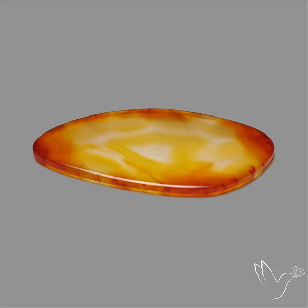 Gemmy Montana Agate Flat Slice Cabochon
