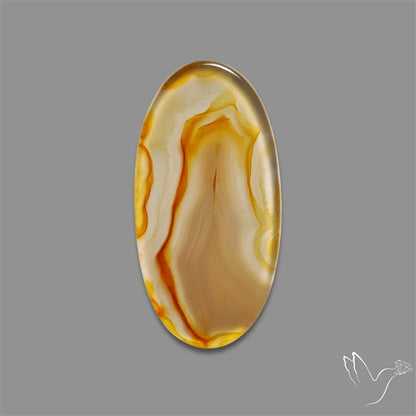 Gemmy Montana Agate Flat Slice Cabochon
