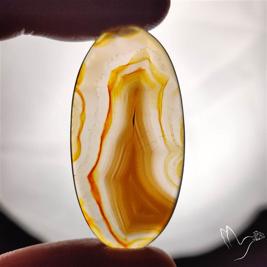 Gemmy Montana Agate Flat Slice Cabochon