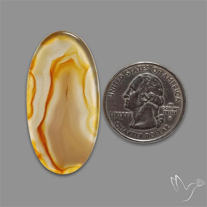 Gemmy Montana Agate Flat Slice Cabochon