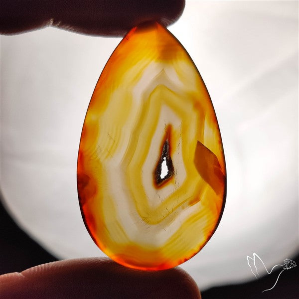 Gemmy Montana Agate Flat Slice Cabochon