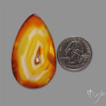 Gemmy Montana Agate Flat Slice Cabochon