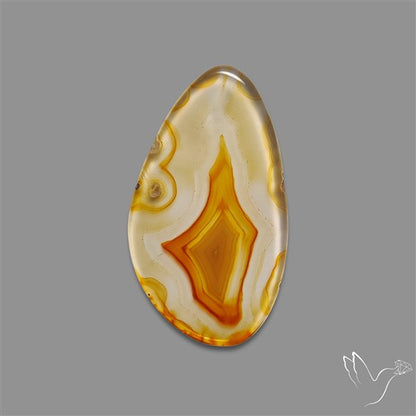 Gemmy Montana Agate Flat Slice Cabochon
