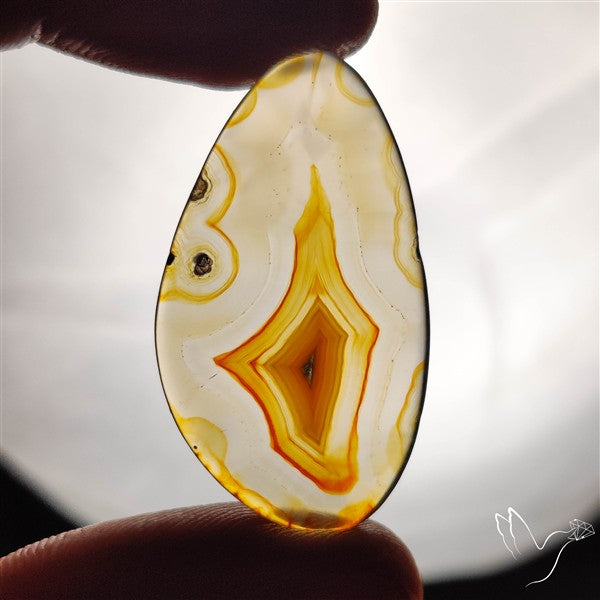 Gemmy Montana Agate Flat Slice Cabochon