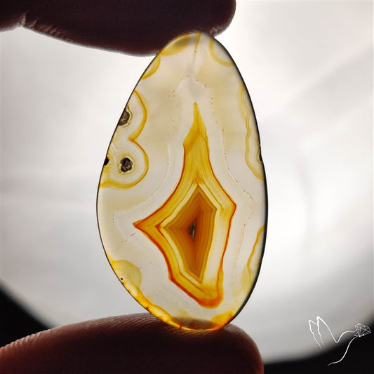 Gemmy Montana Agate Flat Slice Cabochon
