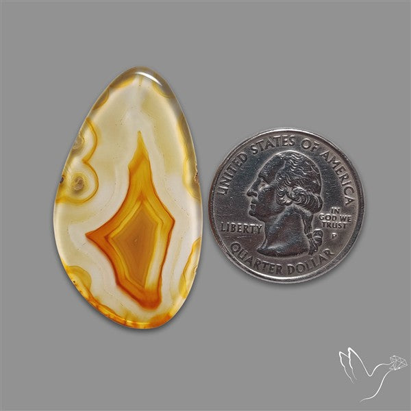 Gemmy Montana Agate Flat Slice Cabochon