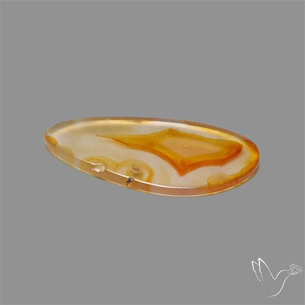 Gemmy Montana Agate Flat Slice Cabochon