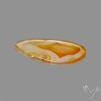 Gemmy Montana Agate Flat Slice Cabochon