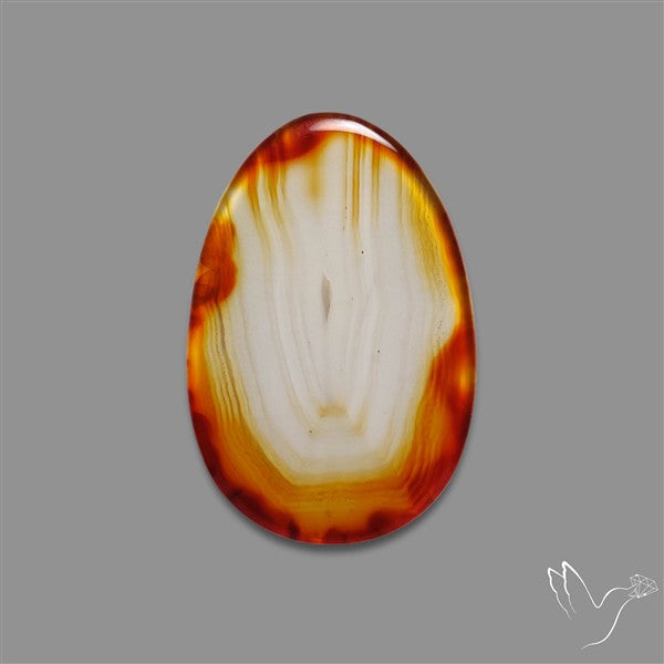 Gemmy Montana Agate Flat Slice Cabochon