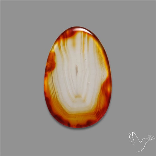 Gemmy Montana Agate Flat Slice Cabochon