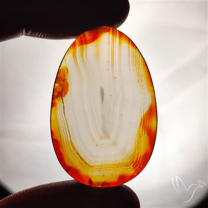 Gemmy Montana Agate Flat Slice Cabochon