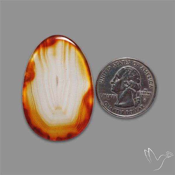 Gemmy Montana Agate Flat Slice Cabochon