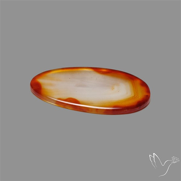 Gemmy Montana Agate Flat Slice Cabochon