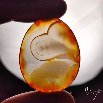 Gemmy Montana Agate Flat Slice Cabochon