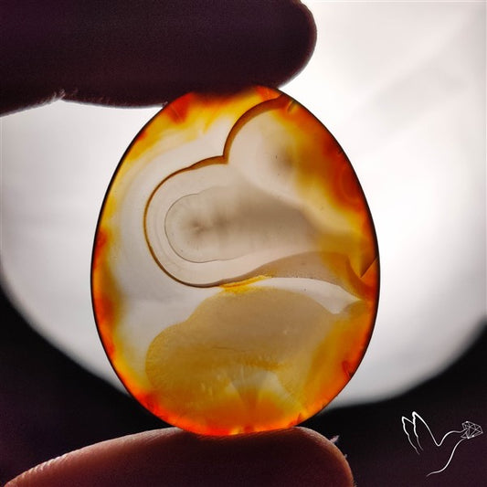 Gemmy Montana Agate Flat Slice Cabochon