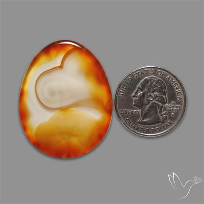 Gemmy Montana Agate Flat Slice Cabochon